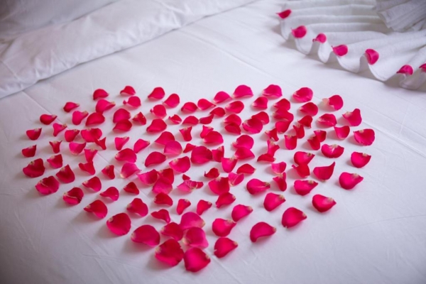 Hanoi Center Silk Hotel & Travel