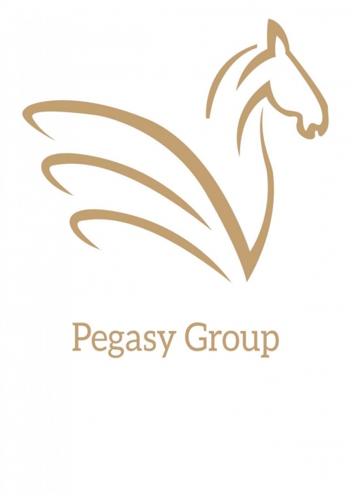 Pegasy Group